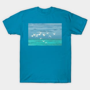 BIRDS OVER THE OCEAN T-Shirt